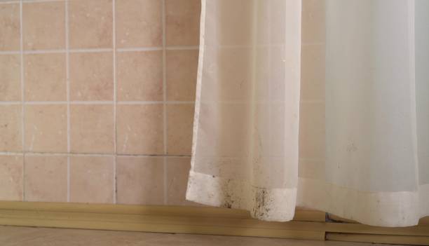 Best Air Quality Testing for Mold Spores  in Montgomery, AL