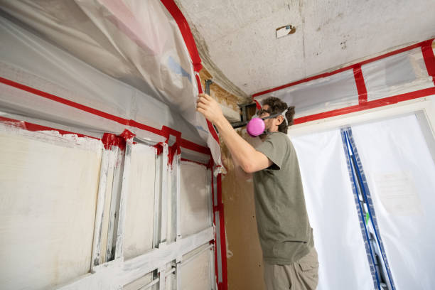 Best Water Damage & Mold Remediation  in Montgomery, AL